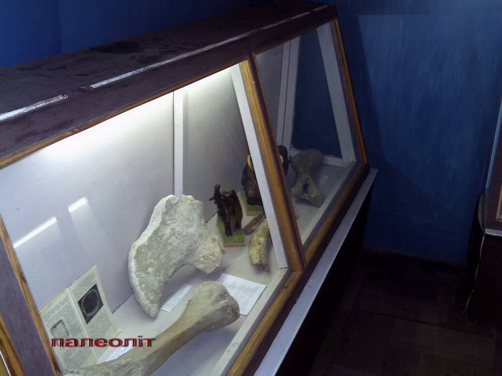 Коропський історико-археологічний музей